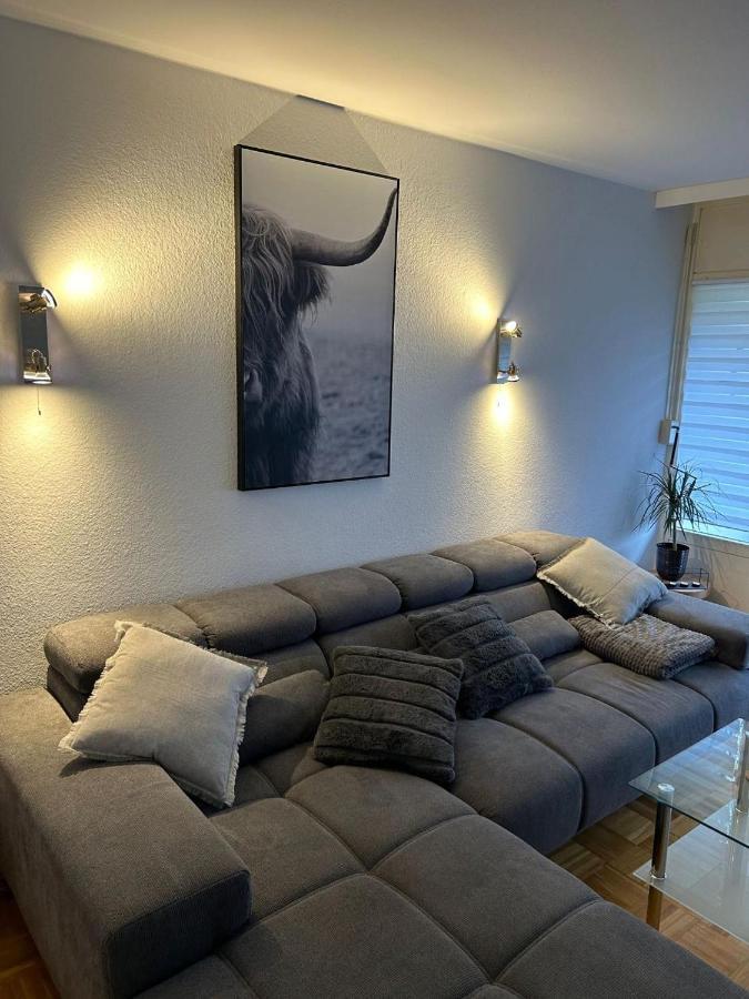 1 - Zimmer Appartement - Kleine Harzperle 朗格尔斯海姆 外观 照片